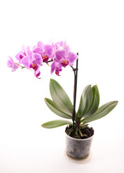 Similar image 10434482