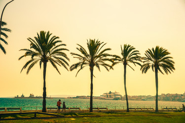 Similar image 10434487