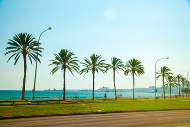 Similar image 10434495