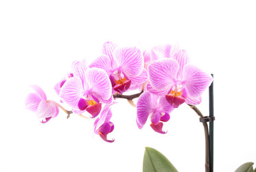 Similar image 10434497