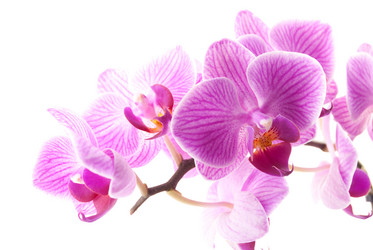 Similar image 10434498