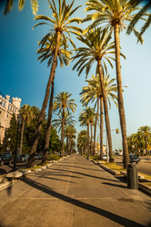 Similar image 10434511