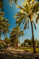 Similar image 10434514