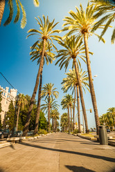 Similar image 10434516