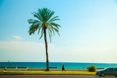 Similar image 10434526