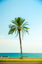 Similar image 10434533