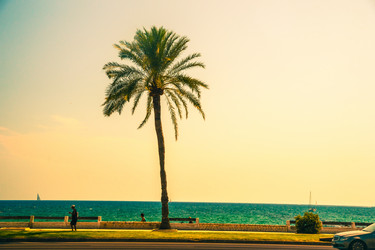 Similar image 10434536