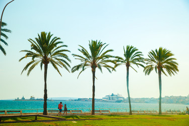 Similar image 10434541