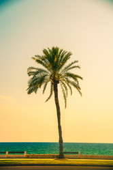 Similar image 10434546