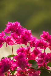 Similar image 10434552