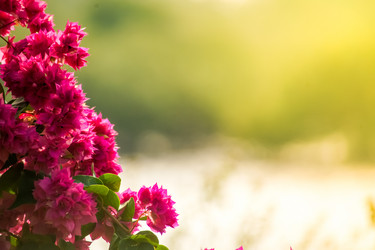 Similar image 10434553