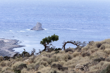 Similar image 10434684