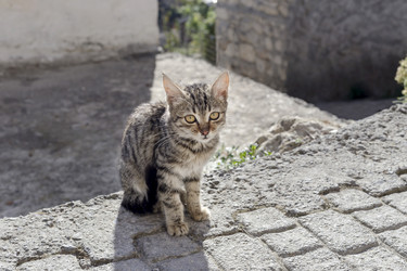 Similar image 10434689