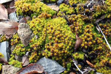 Similar image 10434694