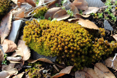 Similar image 10434704