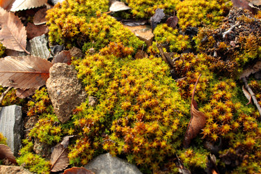 Similar image 10434705