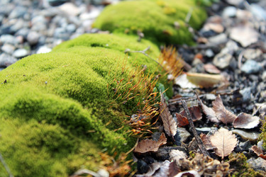 Similar image 10434706