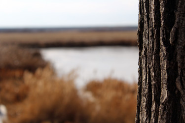 Similar image 10434707