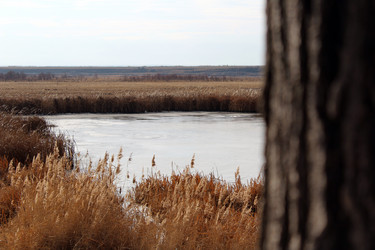 Similar image 10434708