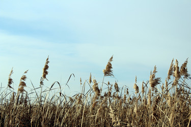 Similar image 10434709