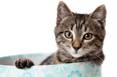 Similar image 10434782