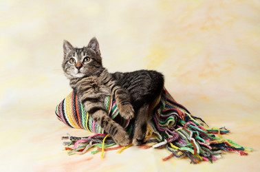 Similar image 10434784