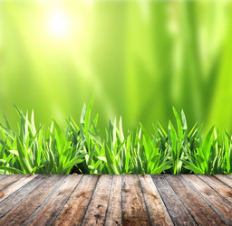 Similar image 10434796