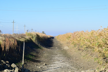 Similar image 10434817