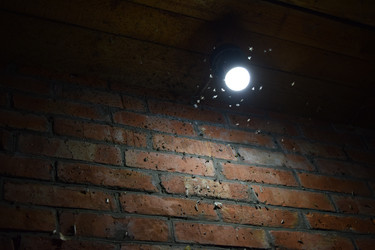 Similar image 10434825