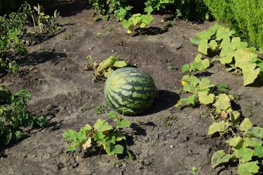 Similar image 10434835