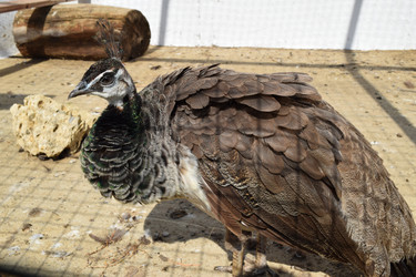 Similar image 10434837