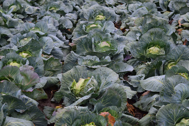 Similar image 10434840