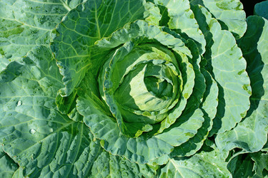 Similar image 8930746