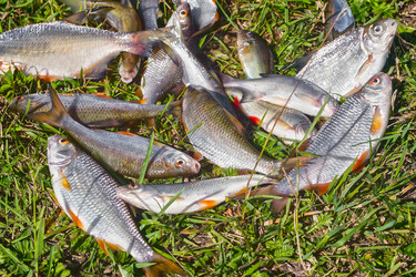 Similar image 8930761