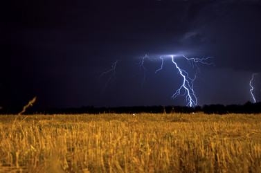 Similar image 8930768