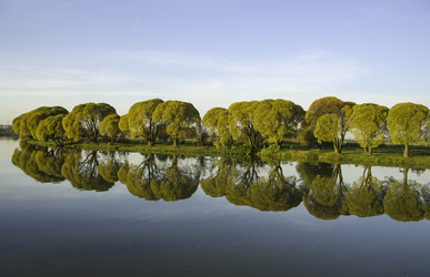 Similar image 8930769