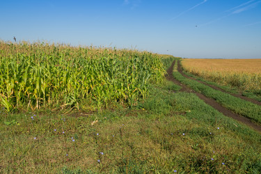 Similar image 8930771