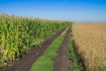 Similar image 8930772