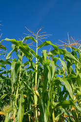 Similar image 8930774