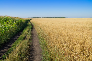 Similar image 8930775