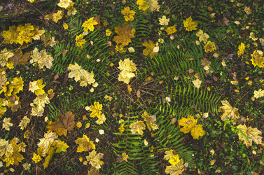 Similar image 8930777