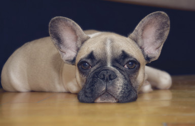 Similar image 8930780