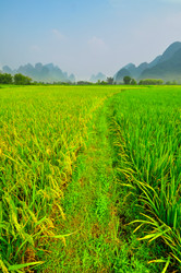 Similar image 8930822