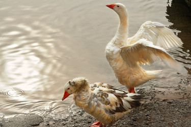 Similar image 8930843