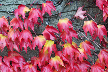 Similar image 8930844