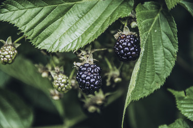 Similar image 8930852