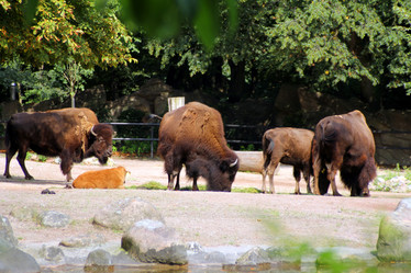 Similar image 8930860