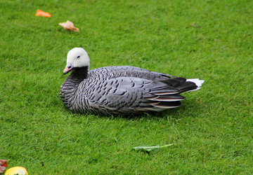 Similar image 8930861