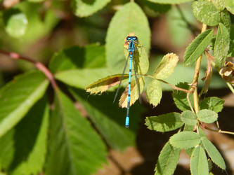 Similar image 8930902