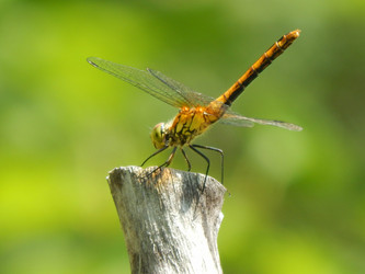 Similar image 8930903